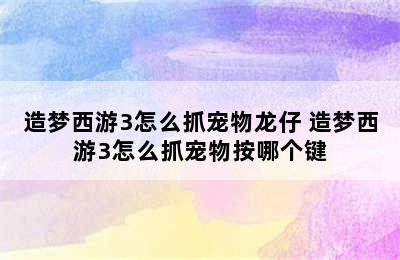 造梦西游3怎么抓宠物龙仔 造梦西游3怎么抓宠物按哪个键